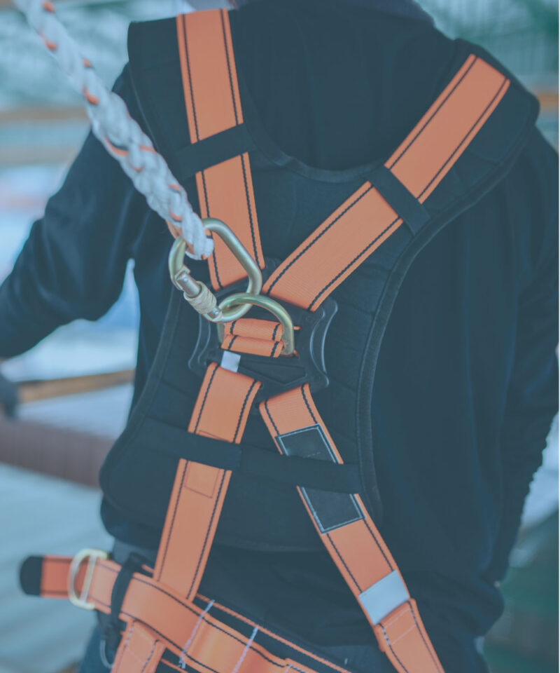 Fall Protection harness